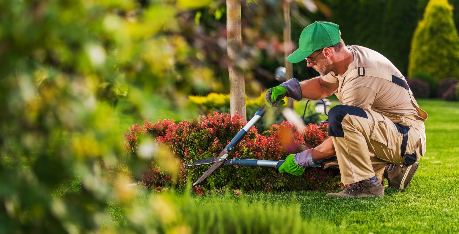 Caucasian Garden and Landscaping Services Contractor Caucasian Garden and Landscaping Services Contractor